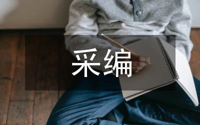 电视台采编个人述职述廉