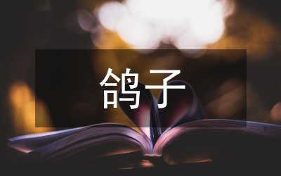 鸽子呼吸道疾病症状