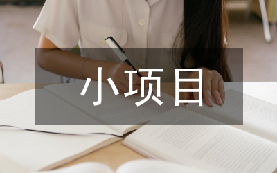 小项目