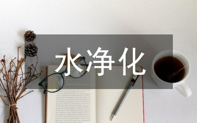 饮用水净化系统分析论文