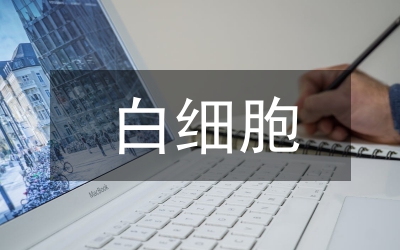 白细胞