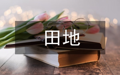 田地区耕地面积因素管理论文