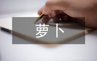 白玉春萝卜栽培技术研究论文