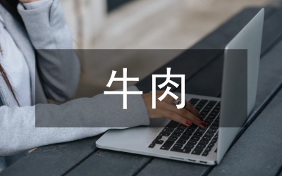 牛肉公司个人述职小结