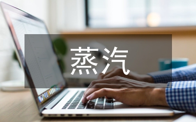 蒸汽流量计量分析论文