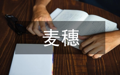 最大的麦穗作文