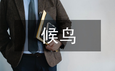 越冬候鸟保护事宜