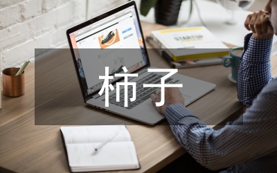 柿子营销活动方案