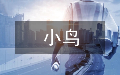 飞翔的小鸟