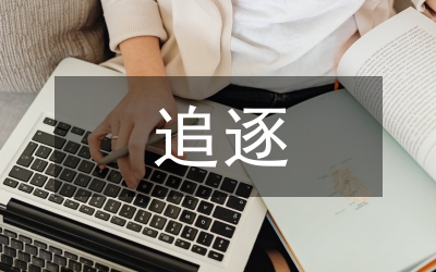 用心追逐&nbsp;放飞梦想（保险公司个人分享材料）