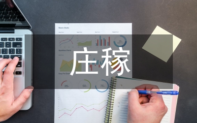 语文教学论文-像种庄稼一样教语文