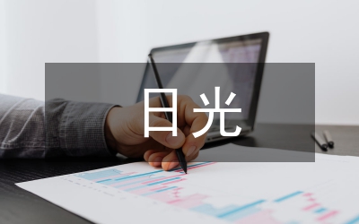 日光夜景：2006惠特尼双年展综述