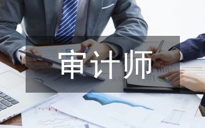 审计师全年工作汇报