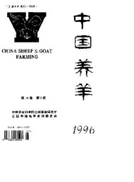 中国养羊