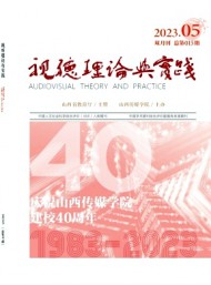视听理论与实践