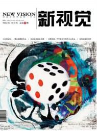 新视觉