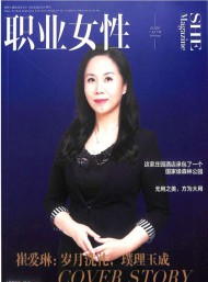 职业女性