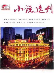 小说选刊