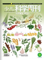 少儿科学周刊