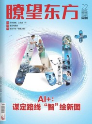 瞭望东方周刊杂志