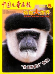 中国儿童画报杂志