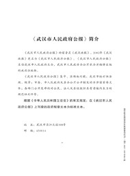 武汉市人民政府公报